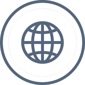 A globe icon enclosed within a circular border